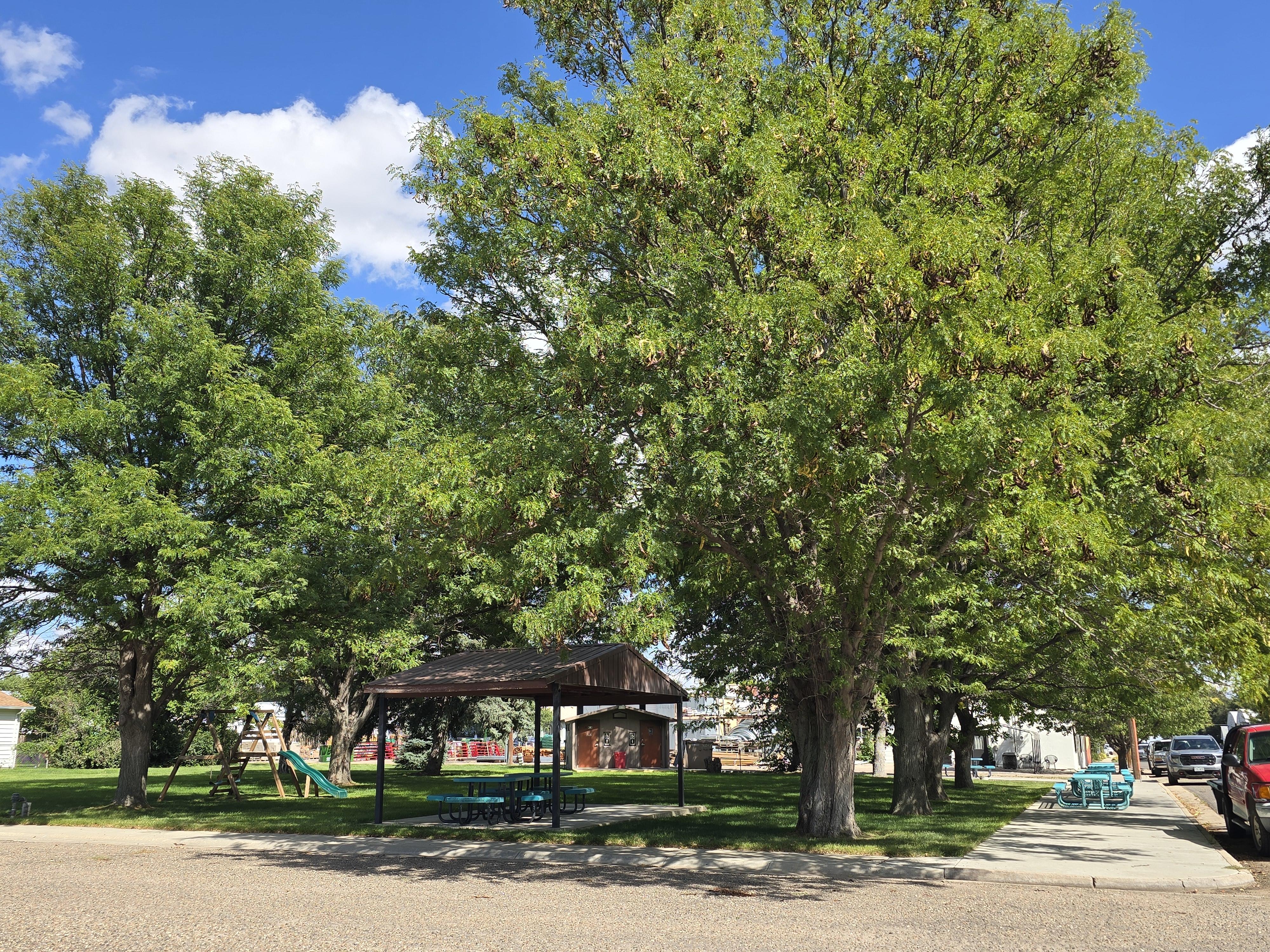 Park with trees, green slide
